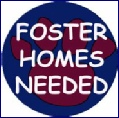 Foster Homes Needed