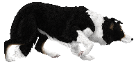 #Logo