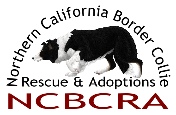 5Logo_Style_B_FL(Transparent_bg)2015.png
