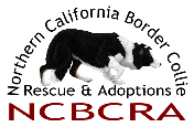 7Logo_Style_B_FR(Transparent_bg)2015.png